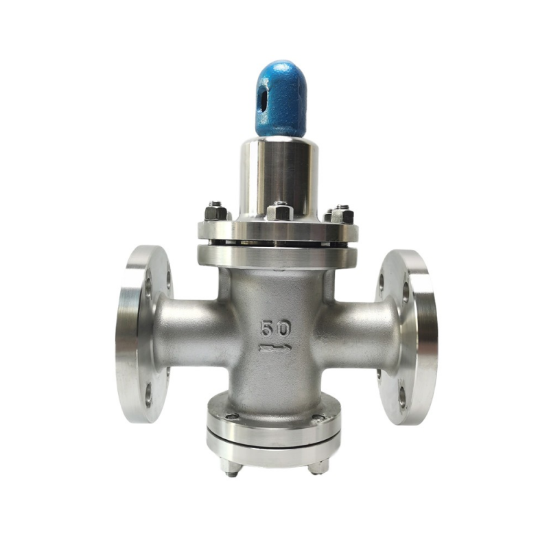 进口水用高压减压阀-德国多尔德DOLDR