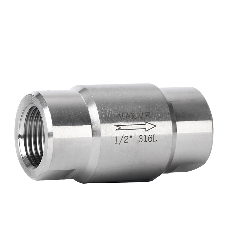 进口螺纹高压止回阀-德国多尔德DOLDR