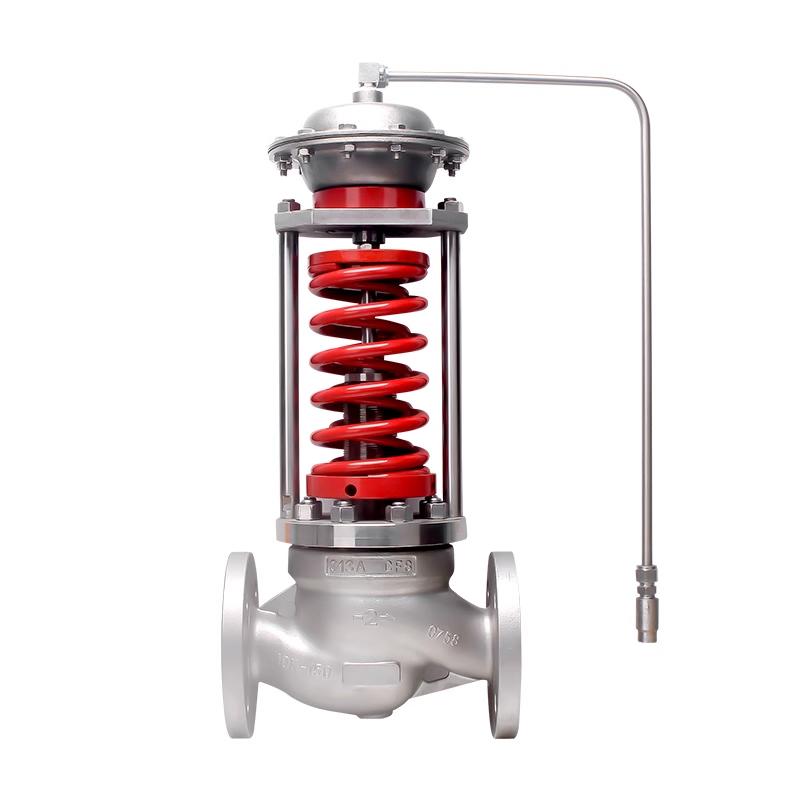 进口自力式调节阀-德国多尔德DOLDR