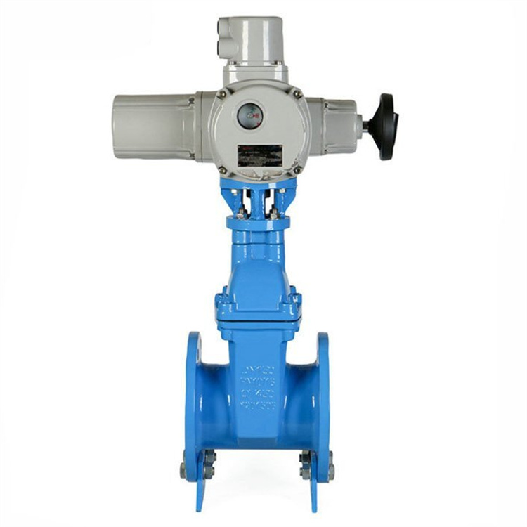 进口电动软密封闸阀-德国多尔德DOLDR品牌