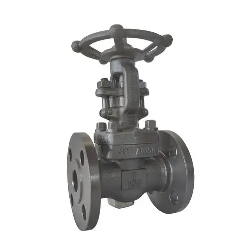 进口锻钢闸阀-德国多尔德DOLDR品牌